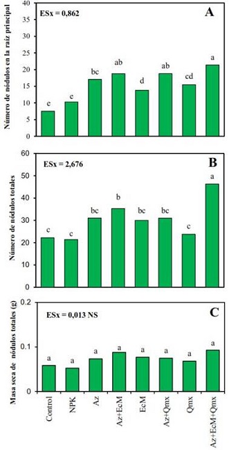 N&uacute;mero de n&oacute;dulos en la ra&iacute;z principal (A), n&uacute;mero de n&oacute;dulos totales (B) y masa seca de n&oacute;dulos totales (C), en plantas de soya Incasoy-27 a los 35 DDS cultivadas en condiciones de campo. Letras desiguales difieren significativamente (p<0,05) seg&uacute;n Prueba de Rangos M&uacute;ltiples de Tukey