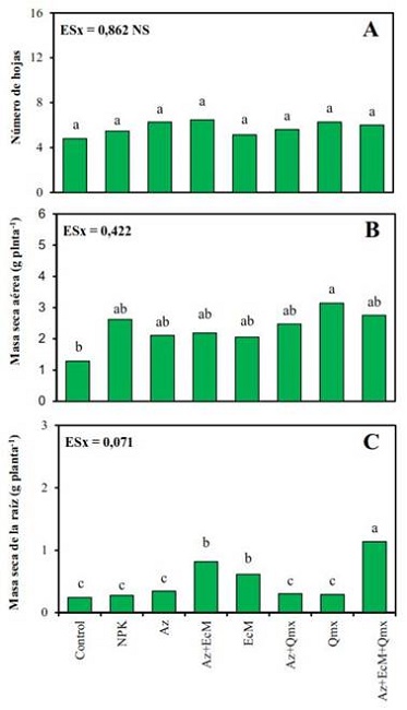 N&uacute;mero de hojas (A), masa seca a&eacute;rea (B) y masa seca de la ra&iacute;z (C), en plantas de soya Incasoy-27 a los 35 DDS cultivadas en condiciones de campo. Letras desiguales difieren significativamente (p<0,05) seg&uacute;n Prueba de Rangos M&uacute;ltiples de Tukey