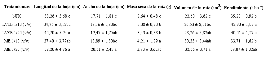 Efecto de los productos aplicados sobre el crecimiento y el rendimiento en acelga (Beta vulgaris L. subsp cicla)