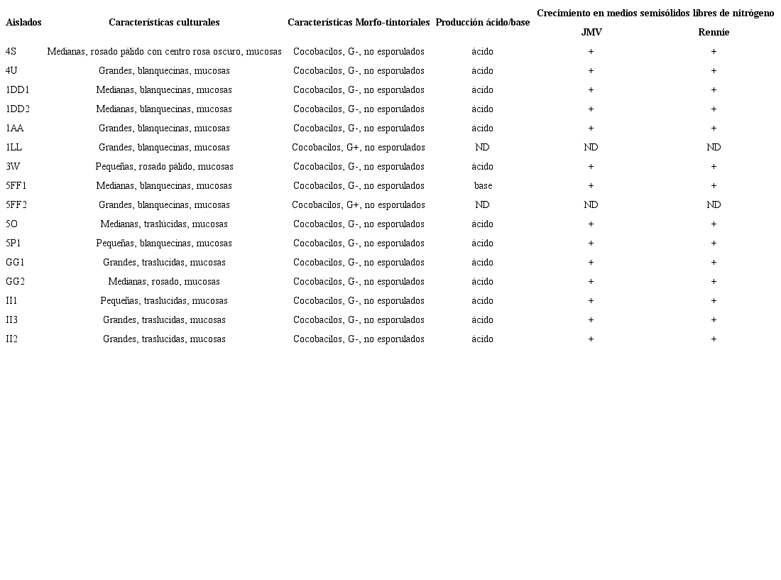 Caracterizaci&oacute;n cultural, morfo-tintorial y bioqu&iacute;mica de los aislados rizosf&eacute;ricos de plantas de arroz cultivar &ldquo;INCA LP-7&rdquo;