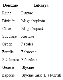 Clasificaci&oacute;n taxon&oacute;mica del cultivo de soya 17