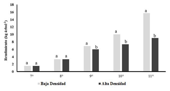 Rendimiento de nuez por árbol y análisis económico del establecimiento y producción de huertas de alta y baja densidad de nogal
