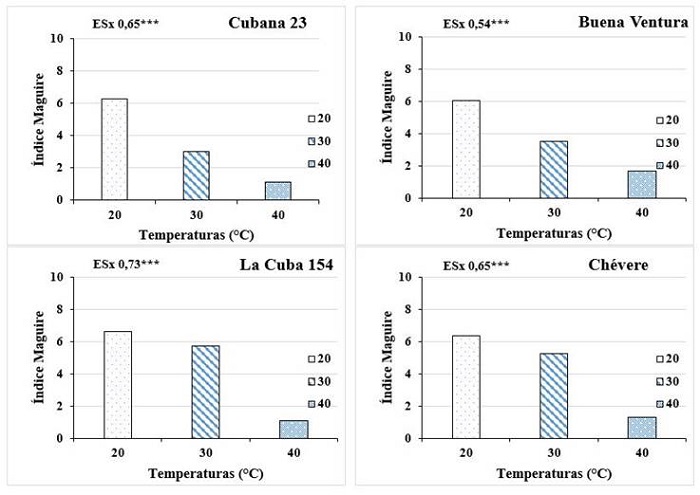&Iacute;ndice de Maguire de semillas de frijol de cuatro cultivares a diferentes temperaturas