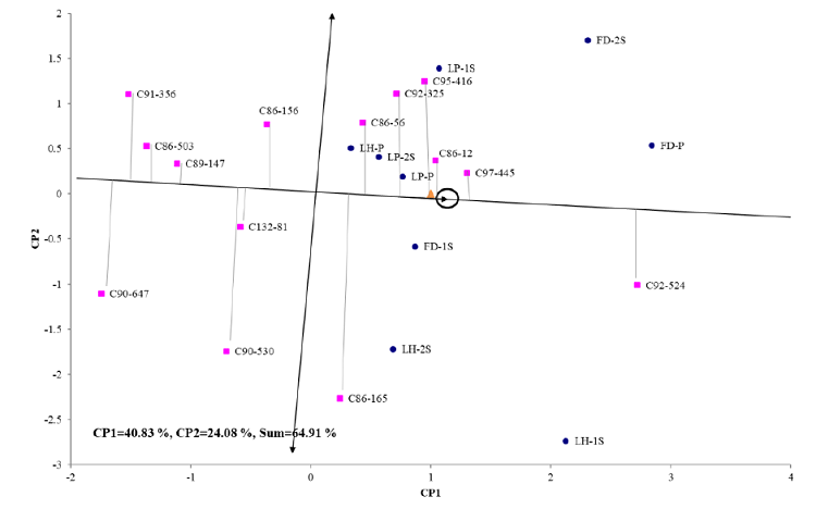 Representaci&oacute;n bidimensional del modelo de Regresi&oacute;n de Sitios del comportamiento medio y estabilidad de los genotipos para TPH