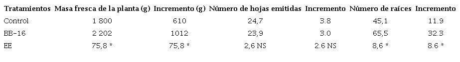 Efecto de la aplicaci&oacute;n de Biobras-16 sobre variables de crecimiento en plantas de pi&ntilde;a &lsquo;MD-2&rsquo; en condiciones de campo