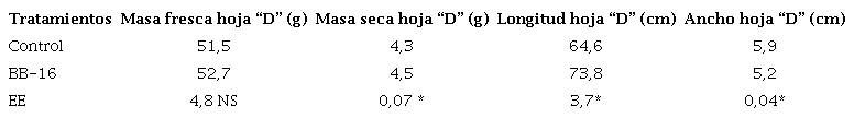 Efecto de la aplicaci&oacute;n de Biobras-16 sobre variables de crecimiento en hojas &ldquo;D&rdquo; de pi&ntilde;a &lsquo;MD-2&rsquo; en condiciones de campo