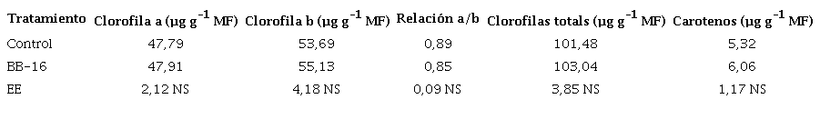 Efecto de la aplicaci&oacute;n de Biobras-16 sobre la concentraci&oacute;n de clorofilas y carotenos en las hojas de pi&ntilde;a en condiciones de campo