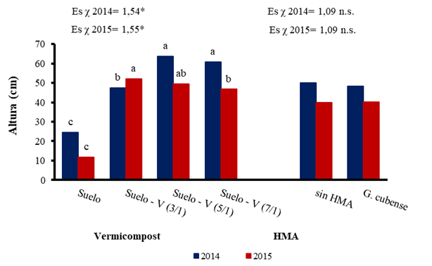 Efecto del vermicompost y de la inoculaci&oacute;n con HMA sobre el crecimiento de las plantas de millo perla. Suelo Gley Nodular Ferruginoso agrog&eacute;nico