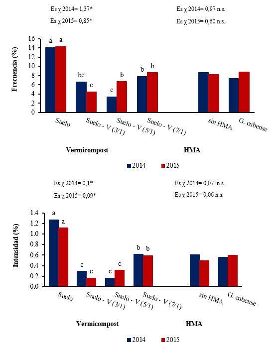 Efecto del vermicompost y de la inoculaci&oacute;n con HMA sobre la frecuencia e intensidad de la colonizaci&oacute;n micorr&iacute;zica en plantas de millo perla. Suelo Gley Nodular Ferruginoso agrog&eacute;nico