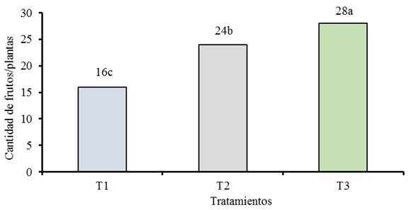 Cantidad de frutos por plantas de pimientos (Capsicum annuum L.) h&iacute;brido &lsquo;Carleza&rsquo; en diferentes marcos de siembra bajo condiciones protegidas