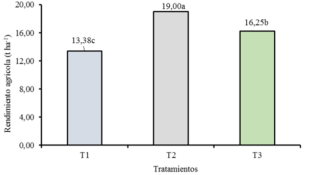 Rendimiento del cultivo de pimiento (Capsicum annuum L.) h&iacute;brido &lsquo;Carleza&rsquo; en diferentes marcos de siembra bajo condiciones protegidas