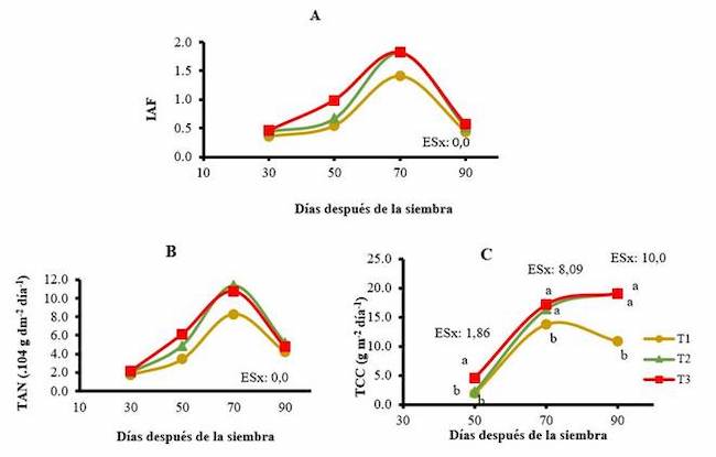 &Iacute;ndices de crecimiento del cultivo de zanahoria: &Iacute;ndice de &Aacute;rea Foliar (A), Tasa de Asimilaci&oacute;n Neta (B), Tasa de Crecimiento del Cultivo (C)