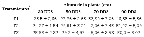 Altura de la planta de zanahoria (cm) en los muestreos realizados