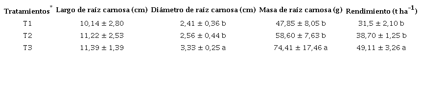 Rendimiento y sus componentes en plantas de zanahoria