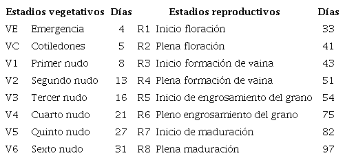 Ciclo productivo del cultivar INCASoy-2