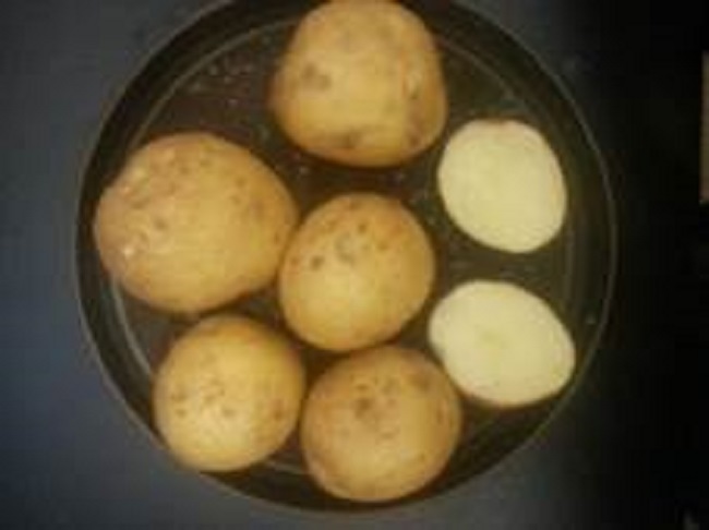 Nuevo cv. &ldquo;Tula&rdquo;: forma y colores del tub&eacute;rculo