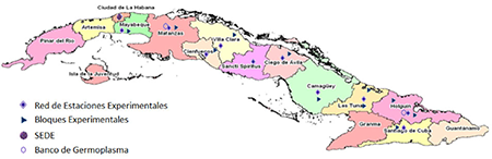 Red experimental para el trabajo de mejoramiento gen&eacute;tico de la ca&ntilde;a de az&uacute;car en Cuba