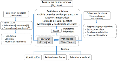 Esquema de gesti&oacute;n de macrodatos para el programa de mejora gen&eacute;tica de la ca&ntilde;a de az&uacute;car en Cuba