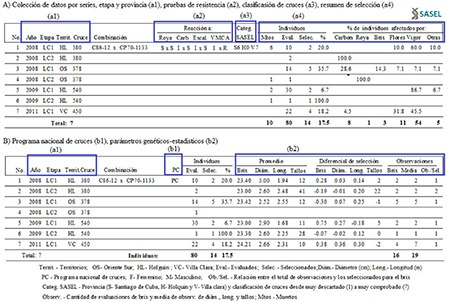 Antecedentes de resultados de selecci&oacute;n del cruce C86-12 x CP70-1133 y bases de datos que participan (enfoque de big data)