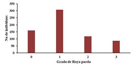Distribuci&oacute;n por grado de la roya parda en el Lote Clonal 1-2017 del programa de mejoramiento gen&eacute;tico de la regi&oacute;n suroriental de Cuba