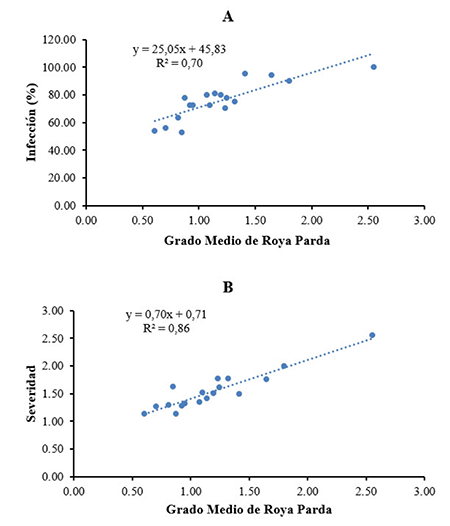 Relaci&oacute;n entre el grado medio de roya parda y las variables incidencia y severidad