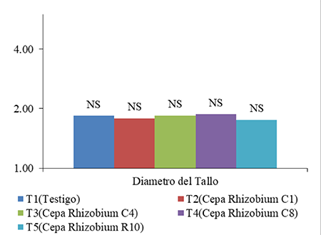 Media y significación estadística del carácter relacionado con el crecimiento: Diámetro del Tallo (DT) (cm)