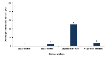 Respuesta de formaci�n de callos en diferentes tipos de explantes con 1,0 mg L-1 de Picloram a los 30 d�as de cultivo