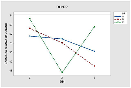 Efecto de la interacci�n entre la distancia entre hileras (DH) y la distancia entre plantas (DP) sobre el contenido relativo de clorofilas del ma�z h�brido INIAP H-603, bajo diferentes densidades de siembra