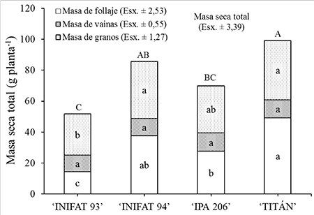 Masa seca total (follaje + vainas + granos) de los cultivares de frijol caup� al momento de la cosecha en San Juan y Mart�nez, Pinar del R�o, Cuba 