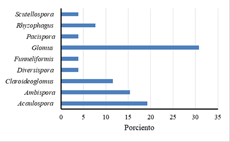 Abundancia relativa de los gneros de HMA observados en los sitios estudiados