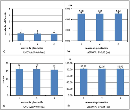 Aspecto morfol�gico de las mazorcas en cosecha, para los tres marcos de plantaci�n
