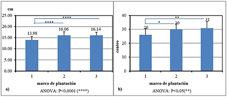 Morfolog�a de las mazorcas en cosecha, para los tres marcos de plantaci�n