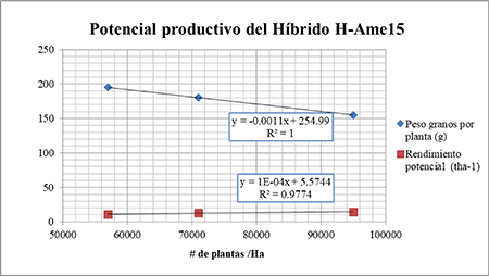 Comportamiento del potencial productivo del h�brido H-Ame15, en funci�n del n�mero de plantas por hect�reas