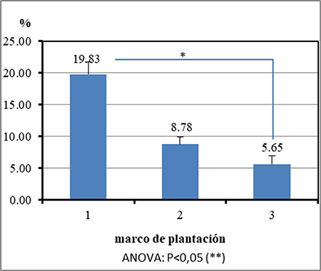Porcentaje de plantas improductivas en cosecha