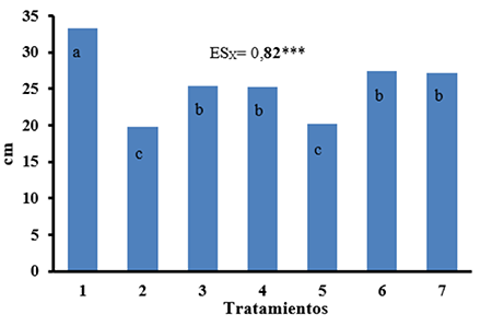 Altura de plantas de girasol cultivadas en suelo contaminado con Pb y Cd y tratadas con Quitomax