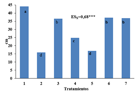 Longitud de la raz de plantas de girasol cultivadas en suelo contaminado con Pb y Cd y tratadas con Quitomax