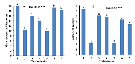 Masa seca de la parte area (A) y de la raz (B) de plantas de girasol cultivadas en suelo contaminado con Pb y Cd y tratadas con Quitomax