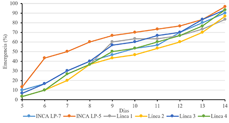 Curva de emergencia de la semilla para cada genotipo