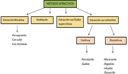 M�todos utilizados en la obtenci�n de extractos de Sargazo y Spirulina