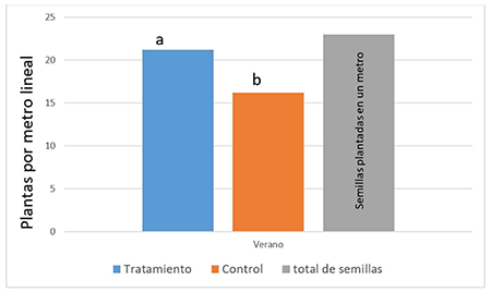 An�lisis de las plantas emergidas por metro lineal (comparaci�n entre el tratamiento y el control) y, como referente, el total de semillas sembradas en un metro