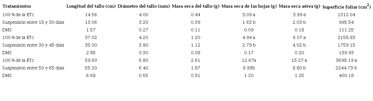 Efecto de los tratamientos de RDC en las tres fases de desarrollo de plantas de frijol (Phaseolus vulgaris L.) en diferentes indicadores de su morfolog�a