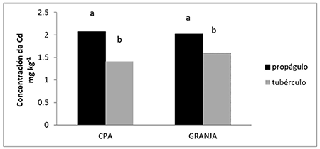 Comparaci�n de las concentraciones de Cd en prop�gulos y tub�rculos de papa en los dos sitios estudiados
