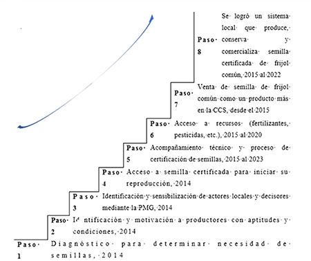 Proceso escalonado que describe los pasos realizados por actores y gestores del municipio B�guanos para conformar un sistema local de semillas para el frijol com�n (Phaseolus vulgaris L)