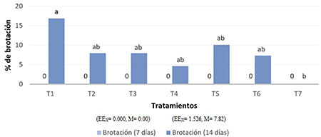 Porcentaje de brotaci�n de las plantas de ajo (Allium sativum L.), clon 'Vietnamita' a los 7 y 14 d�as despu�s de la plantaci�n (n=21) de bulbos sometidos a diferentes tratamientos t�rmicos (T1-T7) 