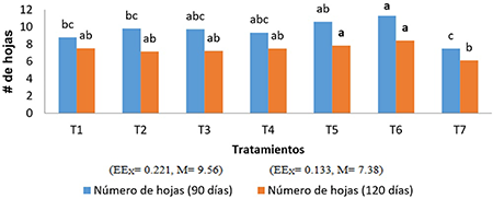 N�mero de hojas por planta de ajo (Allium sativum L.), clon 'Vietnamita' a los 90 y 120 d�as despu�s de la plantaci�n (n=132) de bulbos tratados o no con diferentes temperaturas 
