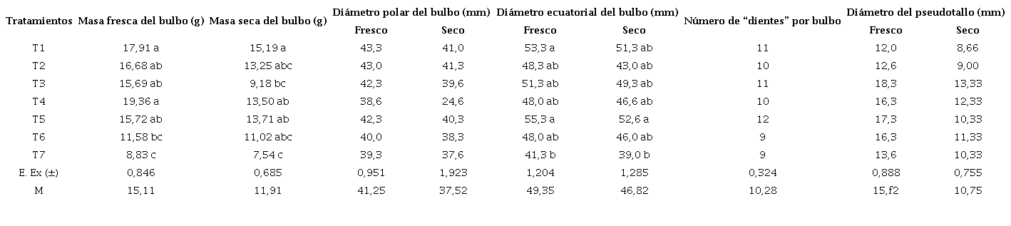 Masa fresca, masa seca, di�metro polar, di�metro ecuatorial y di�metro del pseudotallo fresco y seco, n�mero de &ldquo;dientes&rdquo; por bulbo y longitud del diente de plantas de ajo (Allium sativum L.), clon &lsquo;Vietnamita&rsquo; tratadas o no con diferentes tratamientos de temperatura (n= 21)