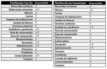 Planificación de las actividades