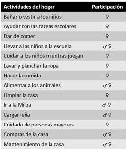 División de las actividades del hogar o
espacio doméstico