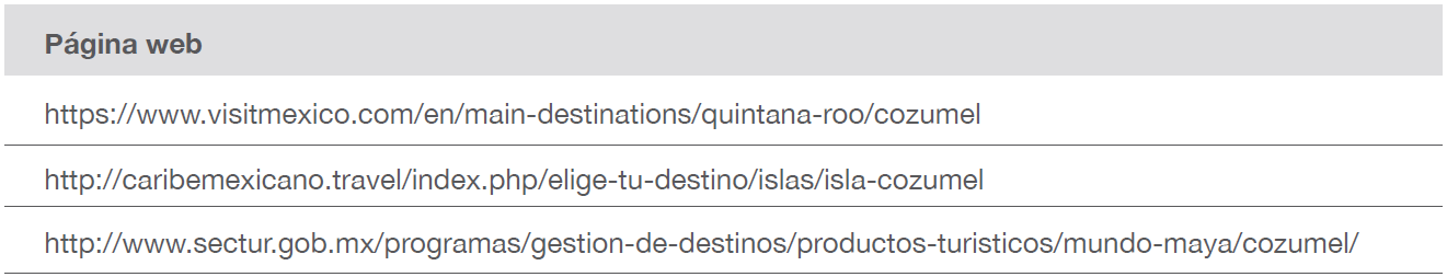 Otras páginas web que difunden a Cozumel