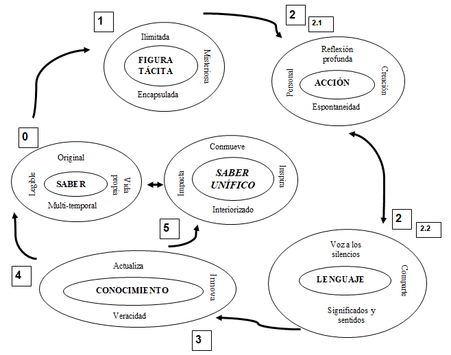 Esquema circular. Ruta de trnsito del saber al conocimiento